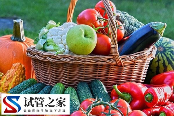 试管移植后第一天吃点什么好(图1) 试管移植后第一天吃点什么好(图1)