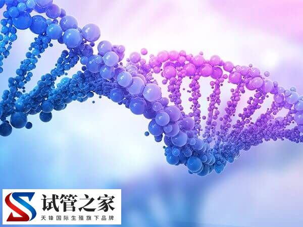 0pn囊胚正常发生畸形的原因是什么