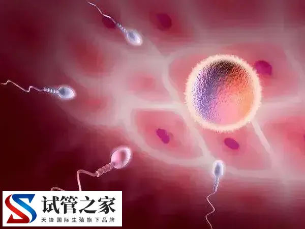 移植后腹部有刺痛感什么原因