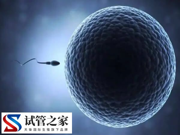 取卵位置不好子宫穿刺有什么风险(图2)