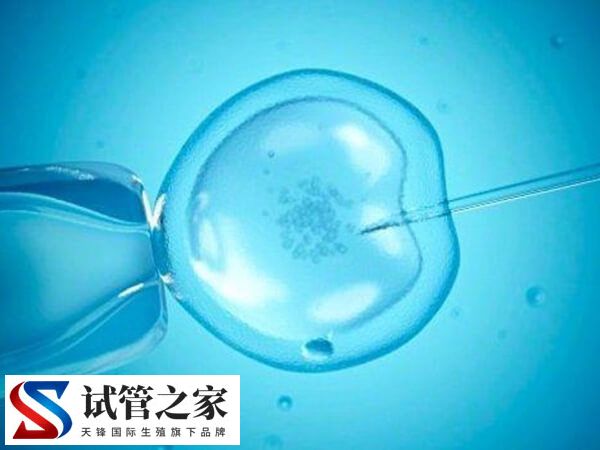 移植两枚鲜胚第六天测出白板正不正常(图2)