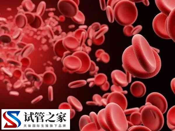 孕妇地中海贫血对胎儿有什么影响