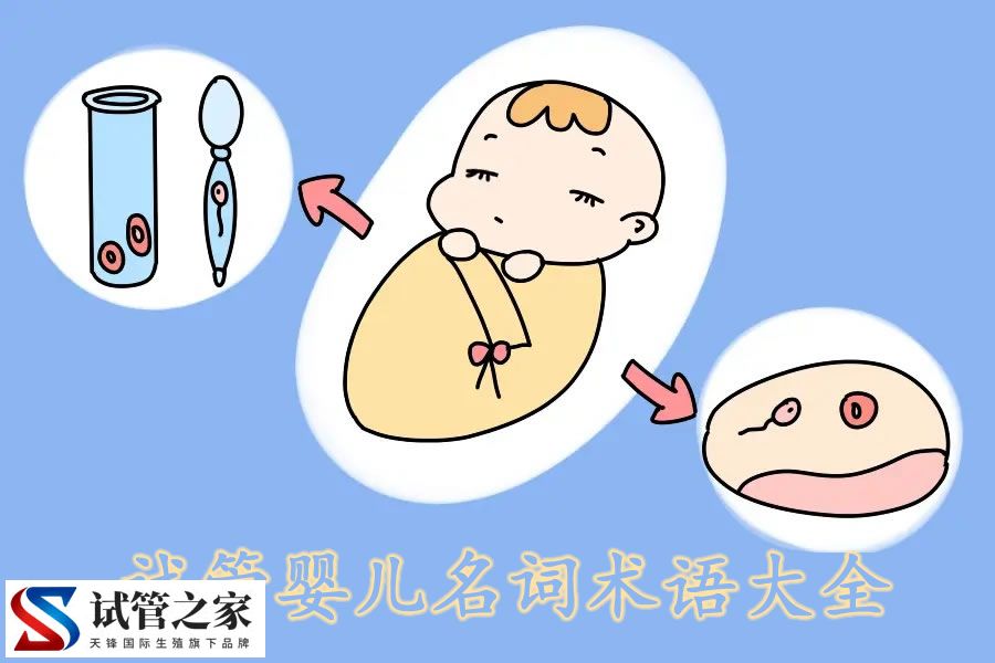 试管婴儿名词术语大全:激素与卵巢储备指标(图1)