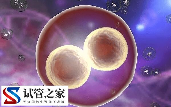 三代试管婴儿可以筛查哪些疾病(图1)