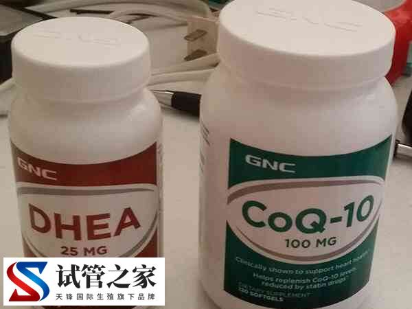 试管移植后能不能吃辅酶Q10和DHEA(图1)