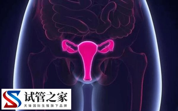 始基子宫怎么治疗(图3)