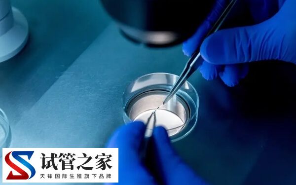 囊胚移植第四天着床有什么感觉(图1)