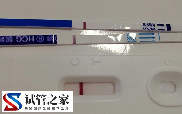 移植囊胚4bb第7天测白板有没有希望(图1)