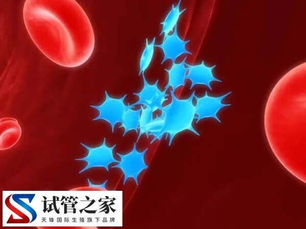 服用dha的副作用是什么(图1)