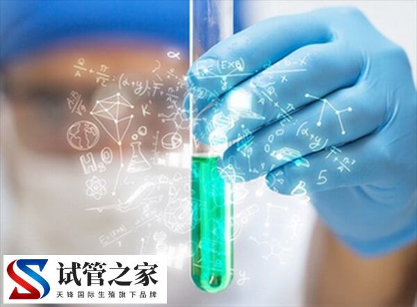 试管哪些检查一年后要重新查(图2) 试管哪些检查一年后要重新查(图2)