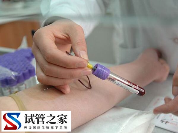 鲜胚移植14天血值多少正常(图1)