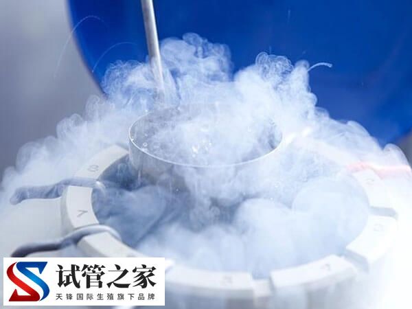 第二次试管移植过程是怎样的(图1)