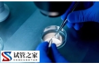 囊胚移植第四天着床有什么感觉