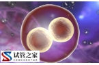 三代试管婴儿可以筛查哪些疾病